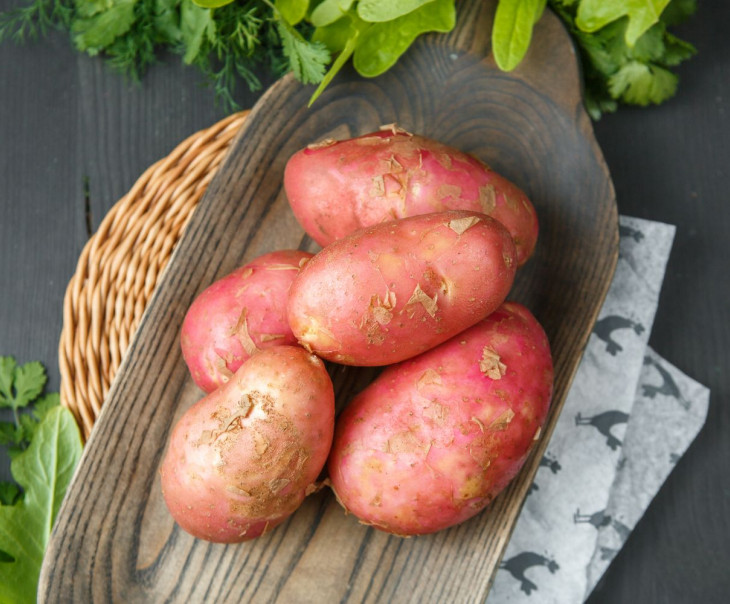 Картофель Ред скарлет